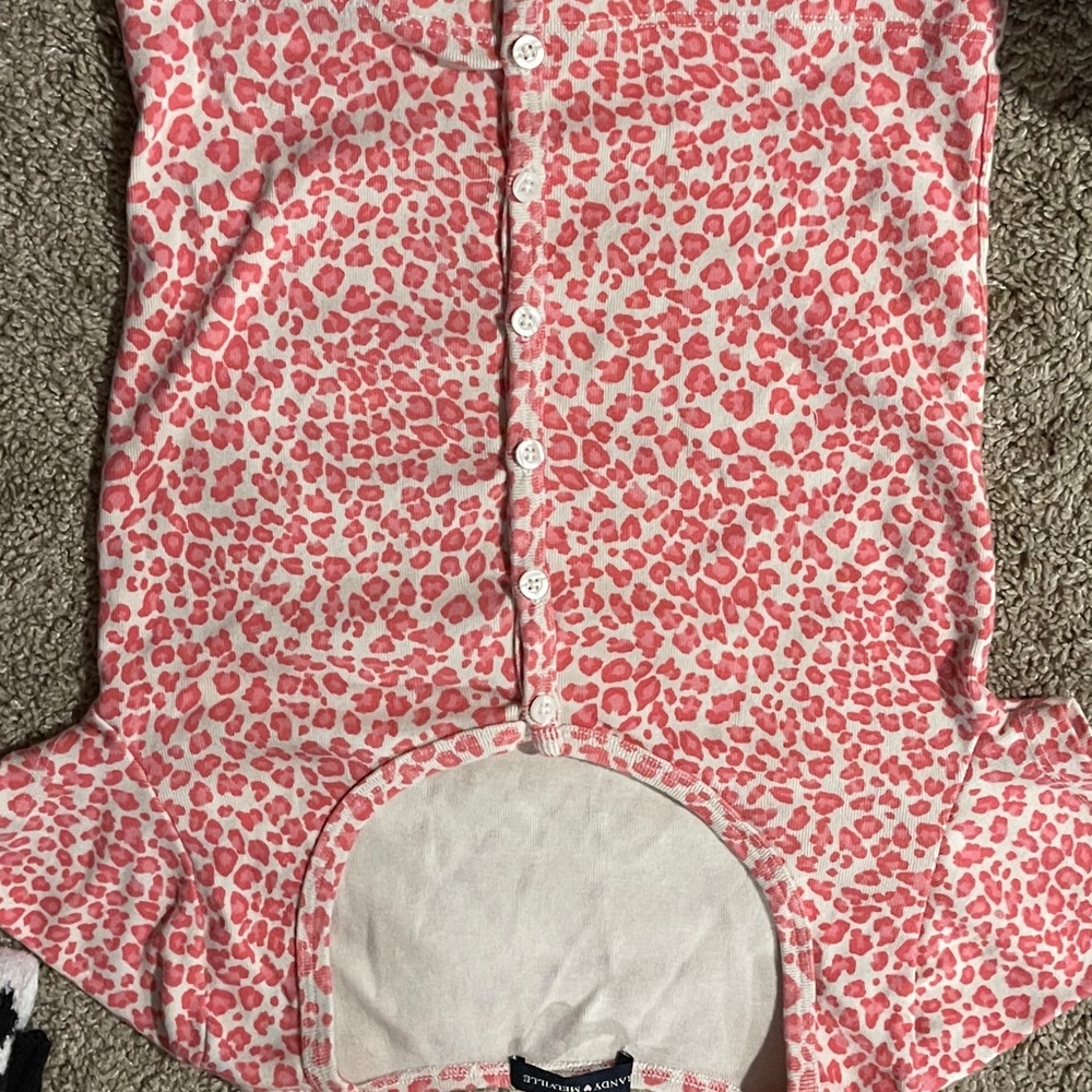 rare cheetah brandy melville zelly top